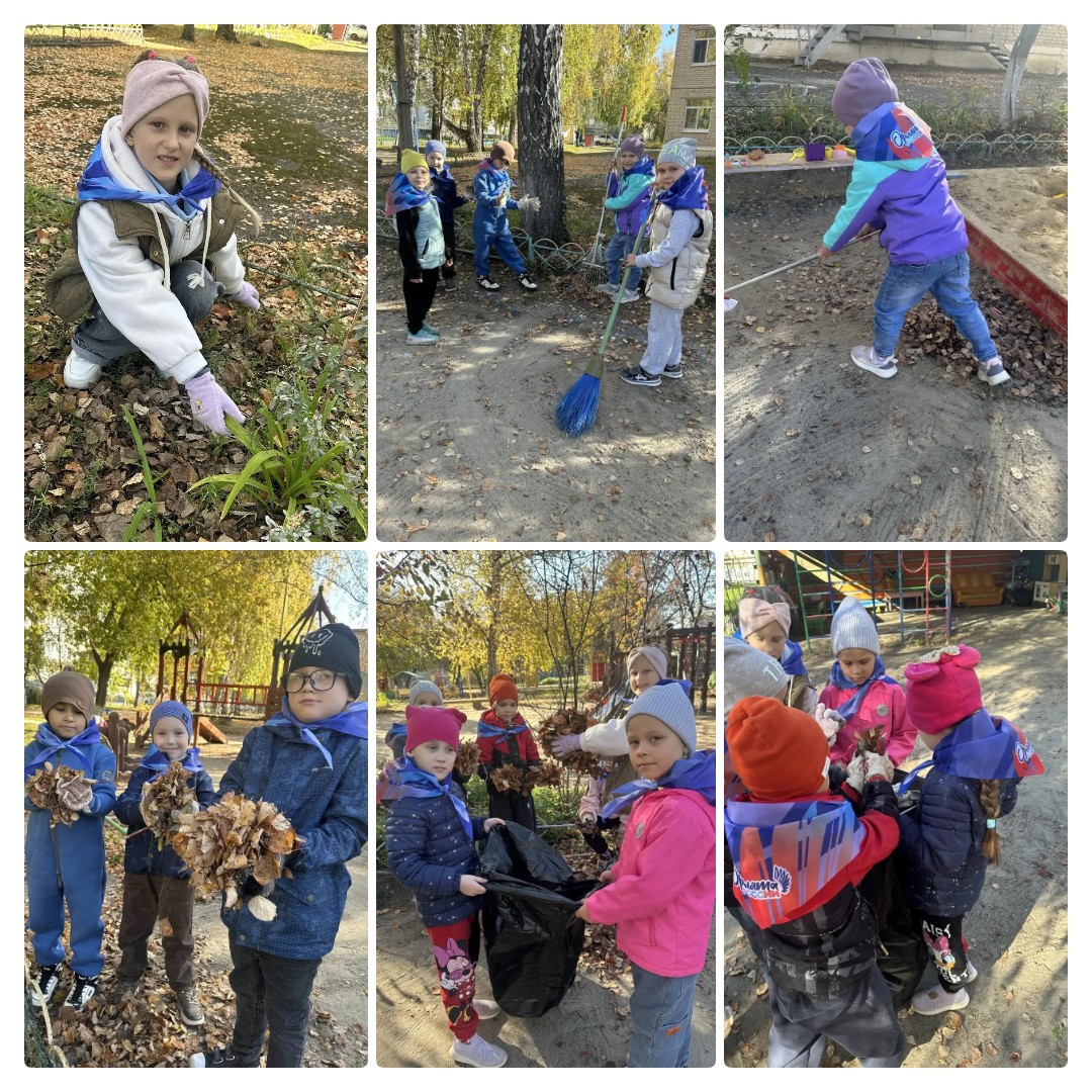 mycollages-2026-09-29_16-28-11.jpg